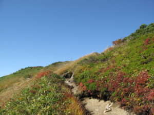 ついに見えた大日岳山頂