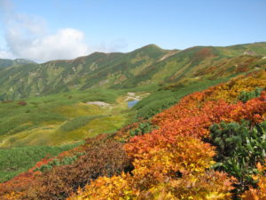 紅葉と文平ノ池