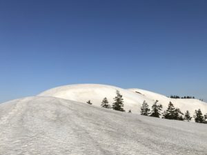 ついに見えた丸山岳の山頂