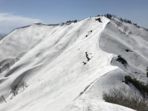 坪入山の西の1754m峰