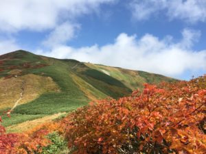 紅葉と御西岳